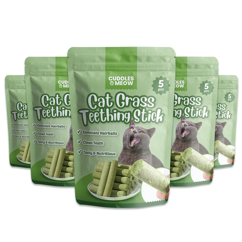 Bâtonnet Herbe à Chat Dentaire