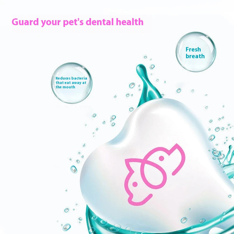 Kit Dentaire Enzymatique Chien Chat