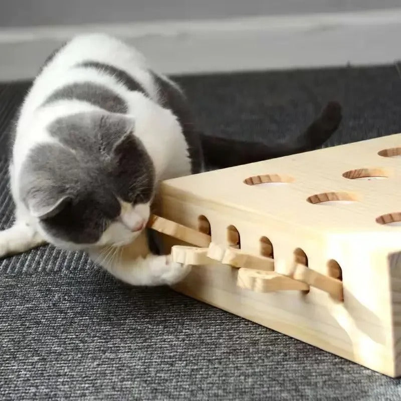 Jeu Taupe Interactif Bois Pour Chat