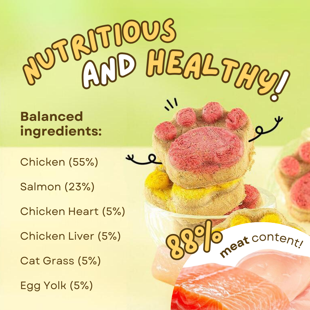 Friandises Chat Pattes Gourmandes Naturelles