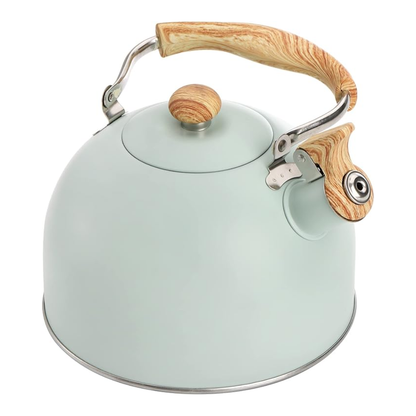 Bouilloire Sifflante Pro