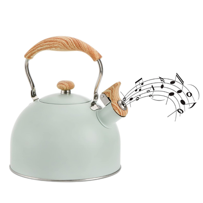 Bouilloire Sifflante Pro