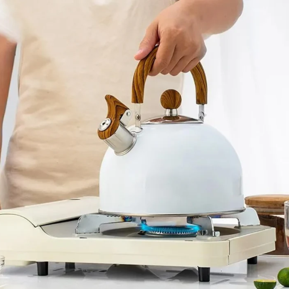 Bouilloire Sifflante Pro