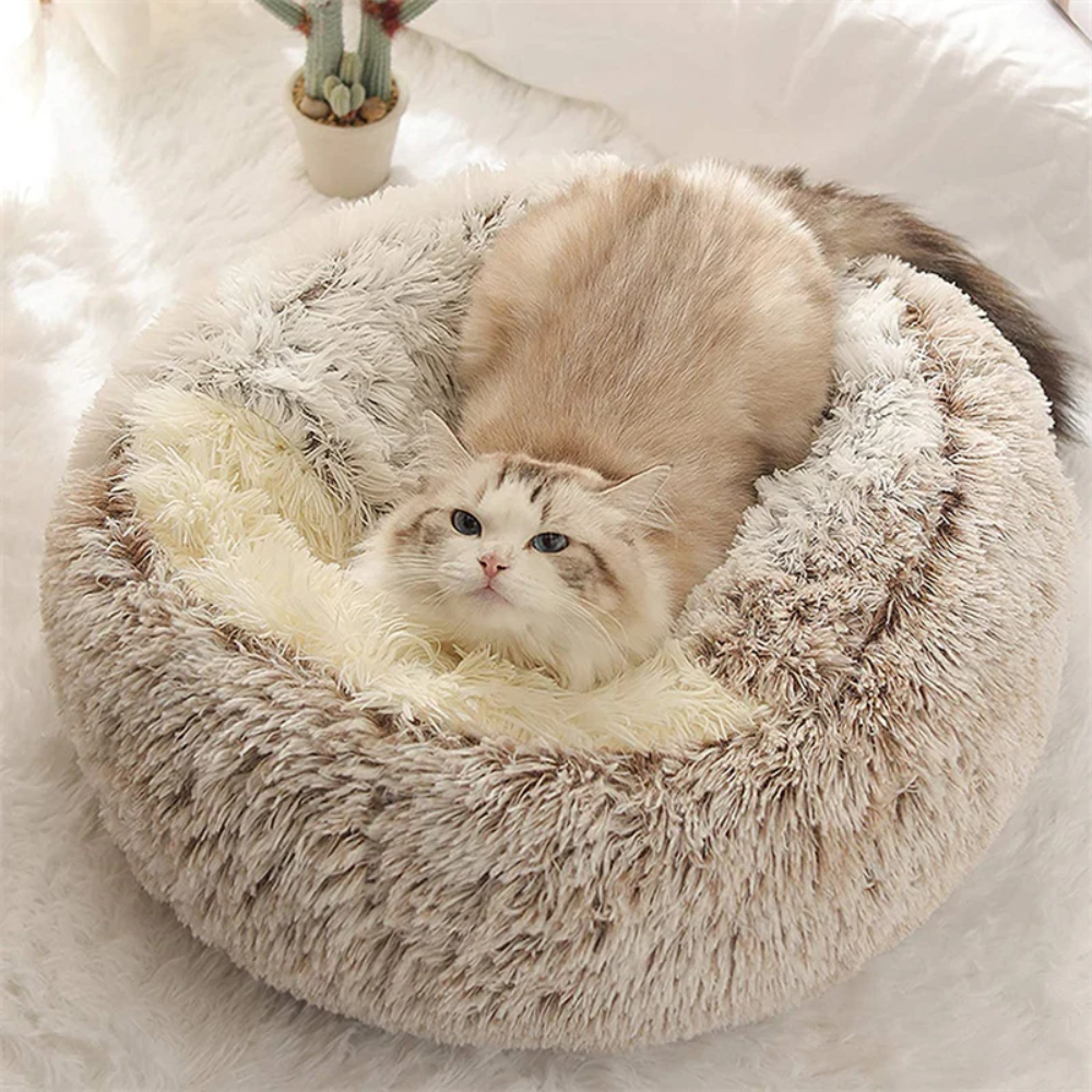 CloudNest Lit Grotte pour Animaux | Confort Chaleureux pour Chats et Chiens
