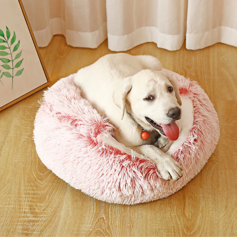 CloudNest Lit Grotte pour Animaux | Confort Chaleureux pour Chats et Chiens