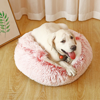 CloudNest Lit Grotte pour Animaux | Confort Chaleureux pour Chats et Chiens