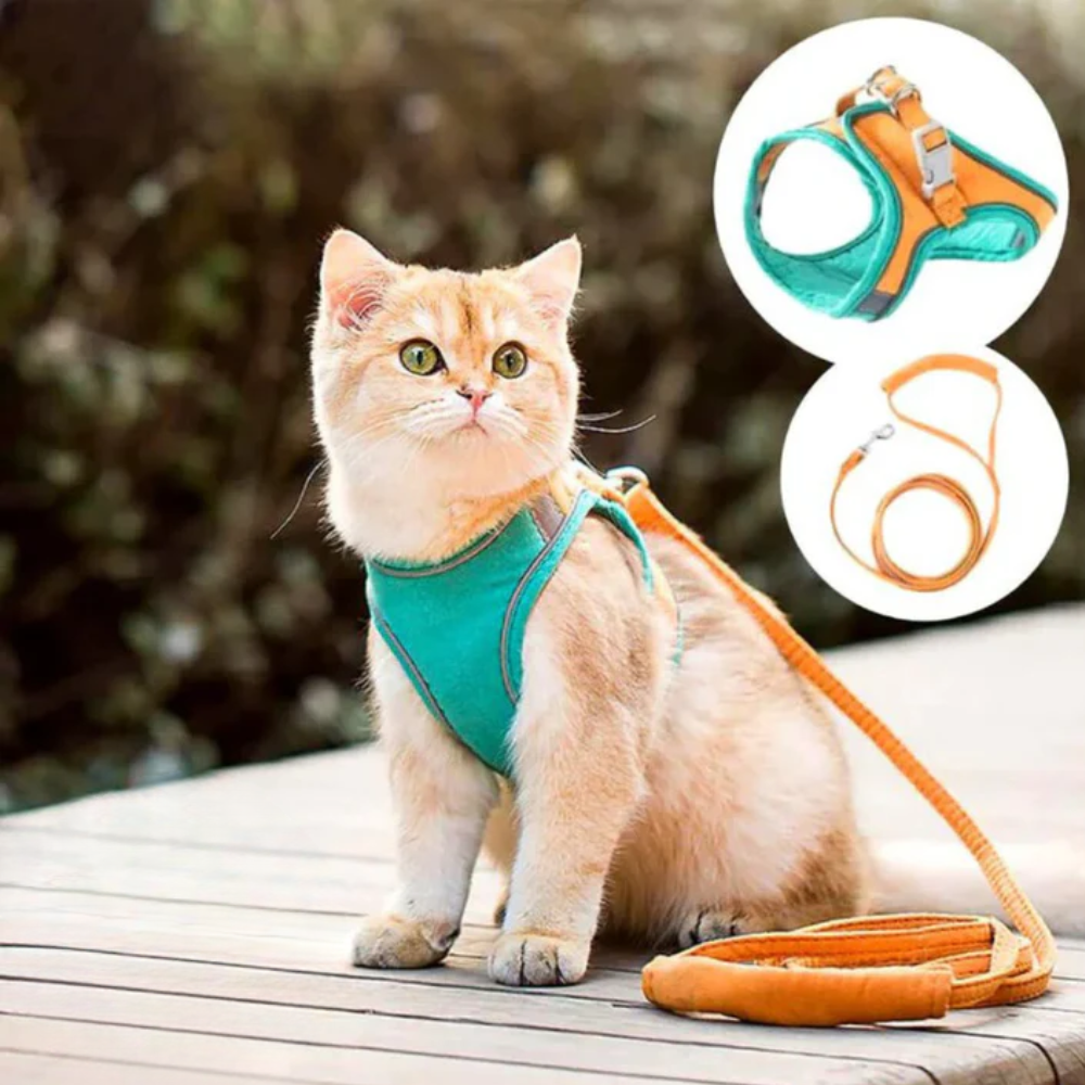 Harnais pour Chat – Réglable – Réfléchissant