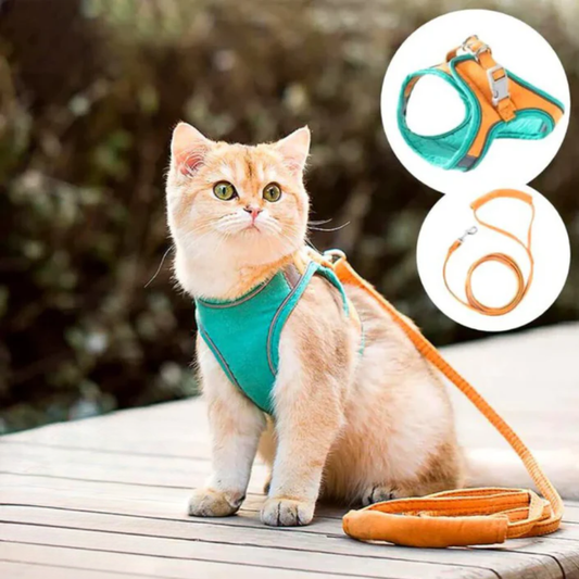 Harnais pour Chat – Réglable – Réfléchissant