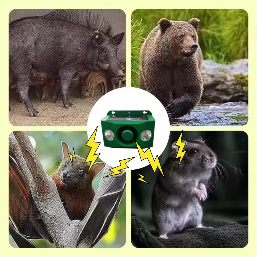 WildGuard Répulsif Solaire à Alarme | Dissuasion Animale Puissante