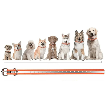 Collier de Dressage Chien – Vibration/Son – Rechargeable