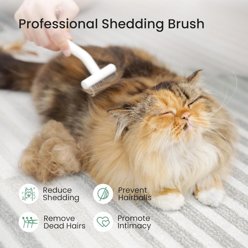 Brosse Anti-Mue Professionnelle Chien Chat