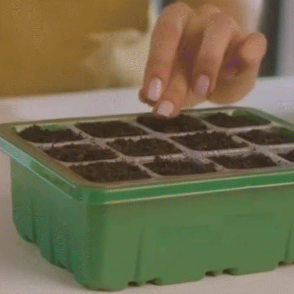 Mini Serre Semis – Éclairage LED – Intérieur