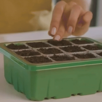 Mini Serre Semis – Éclairage LED – Intérieur