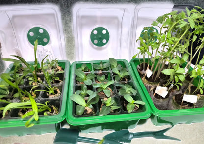 Mini Serre Semis – Éclairage LED – Intérieur