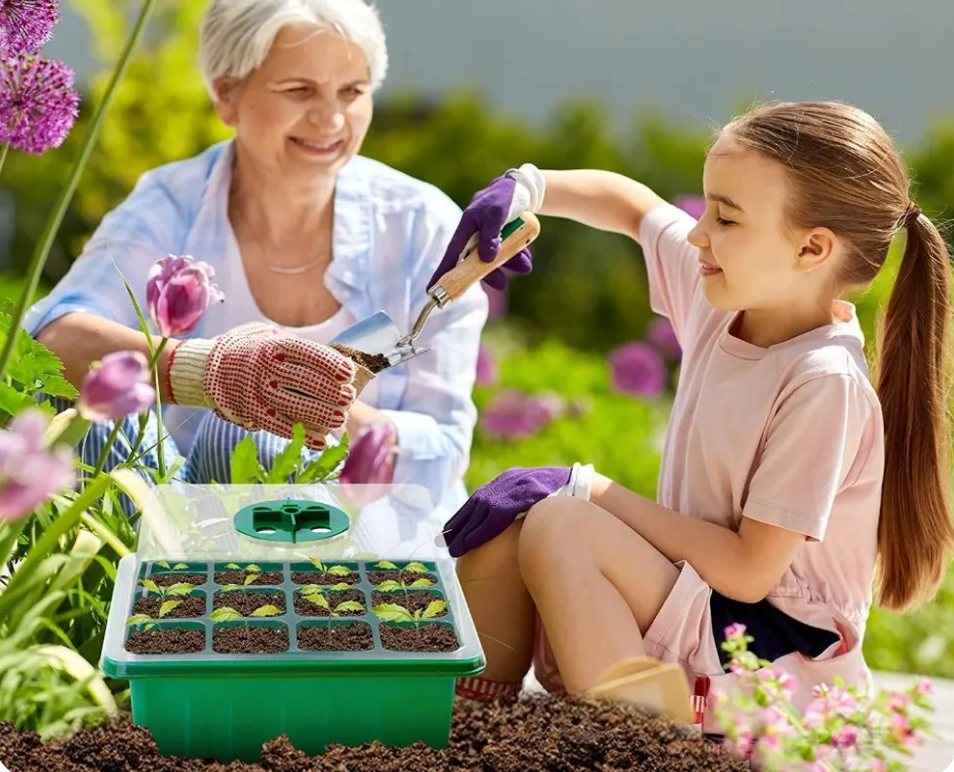 Mini Serre Semis – Éclairage LED – Intérieur