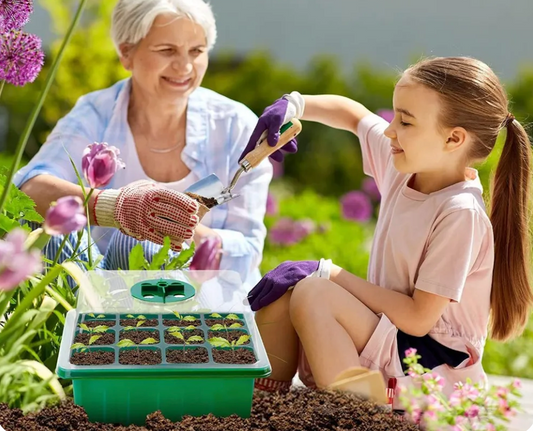 Mini Serre Semis – Éclairage LED – Intérieur