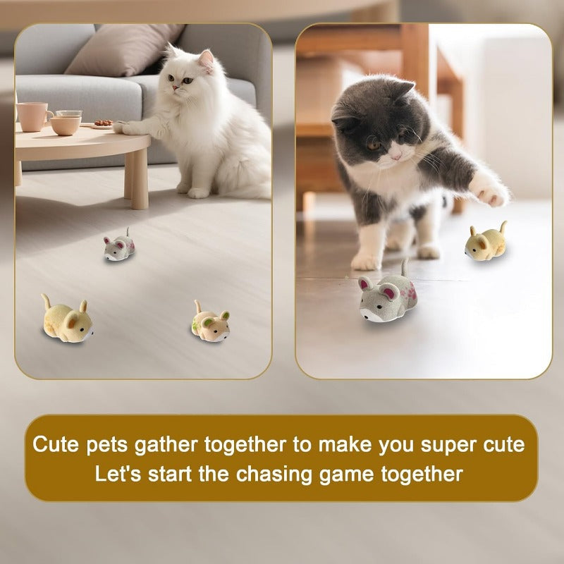 Hamster Électrique Interactif Pour Chat