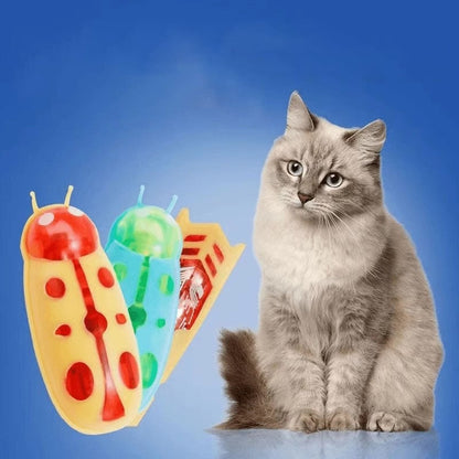 Insecte Électrique Interactif pour Chat