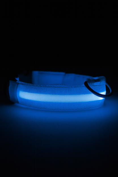 Collier LED Rechargeable Chien Visible