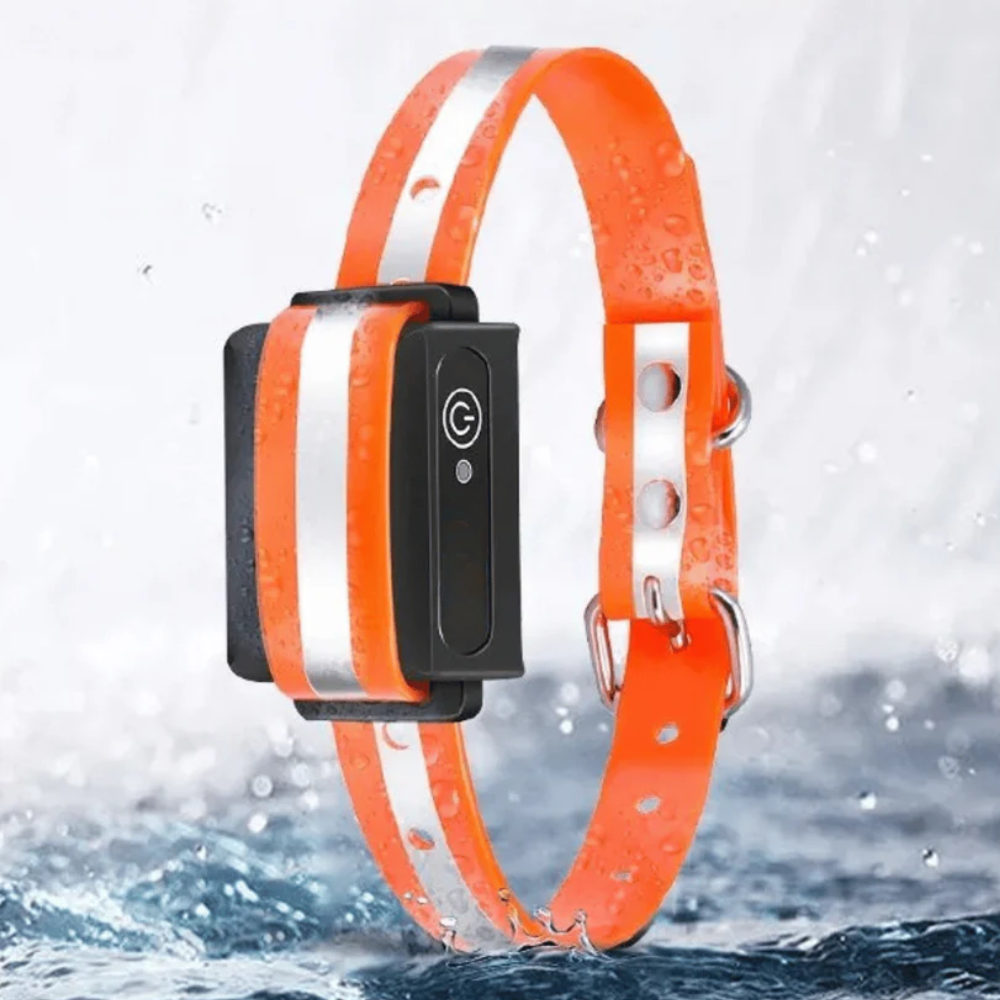 Collier de Dressage Chien – Vibration/Son – Rechargeable