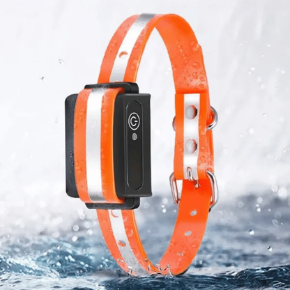 Collier de Dressage Chien – Vibration/Son – Rechargeable