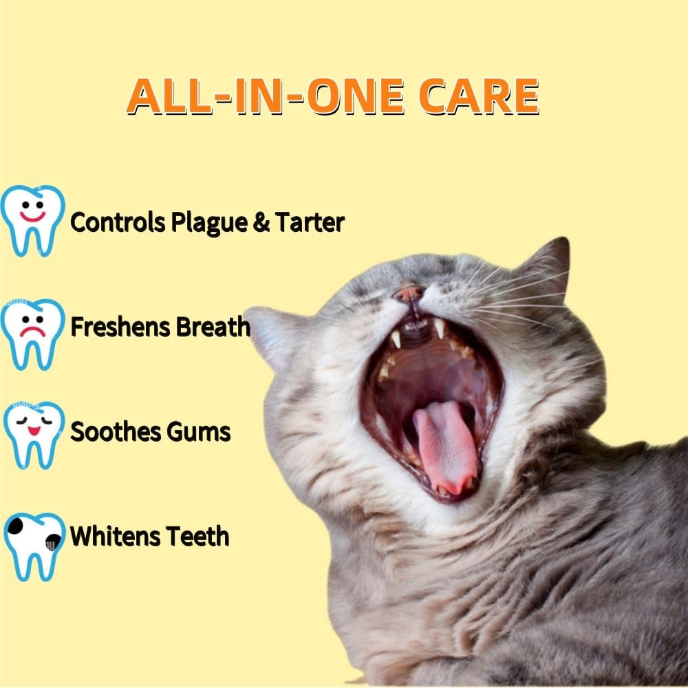 Stylo Brosse Dents Chien Chat