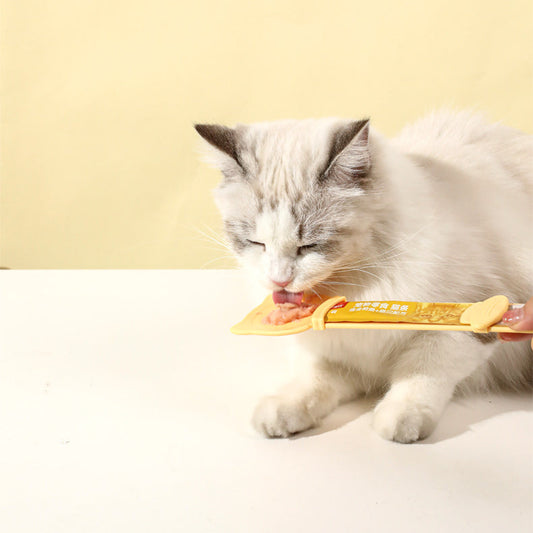 Cuillère Distributeur Friandises Chat