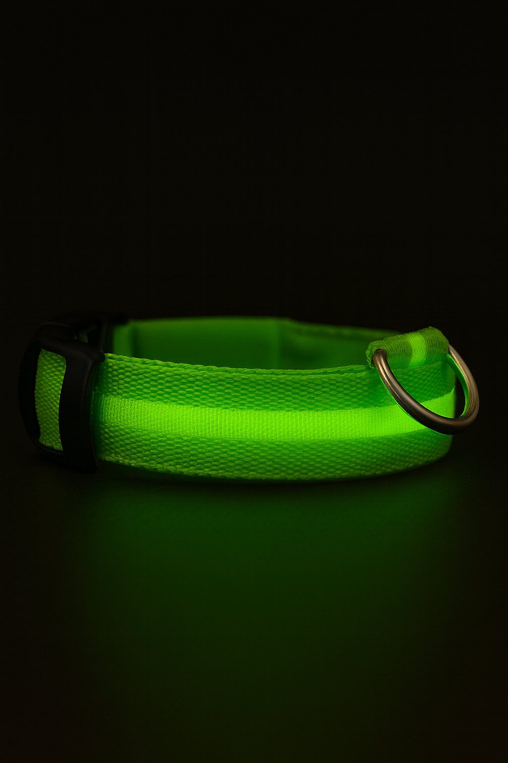 Collier LED Rechargeable Chien Visible