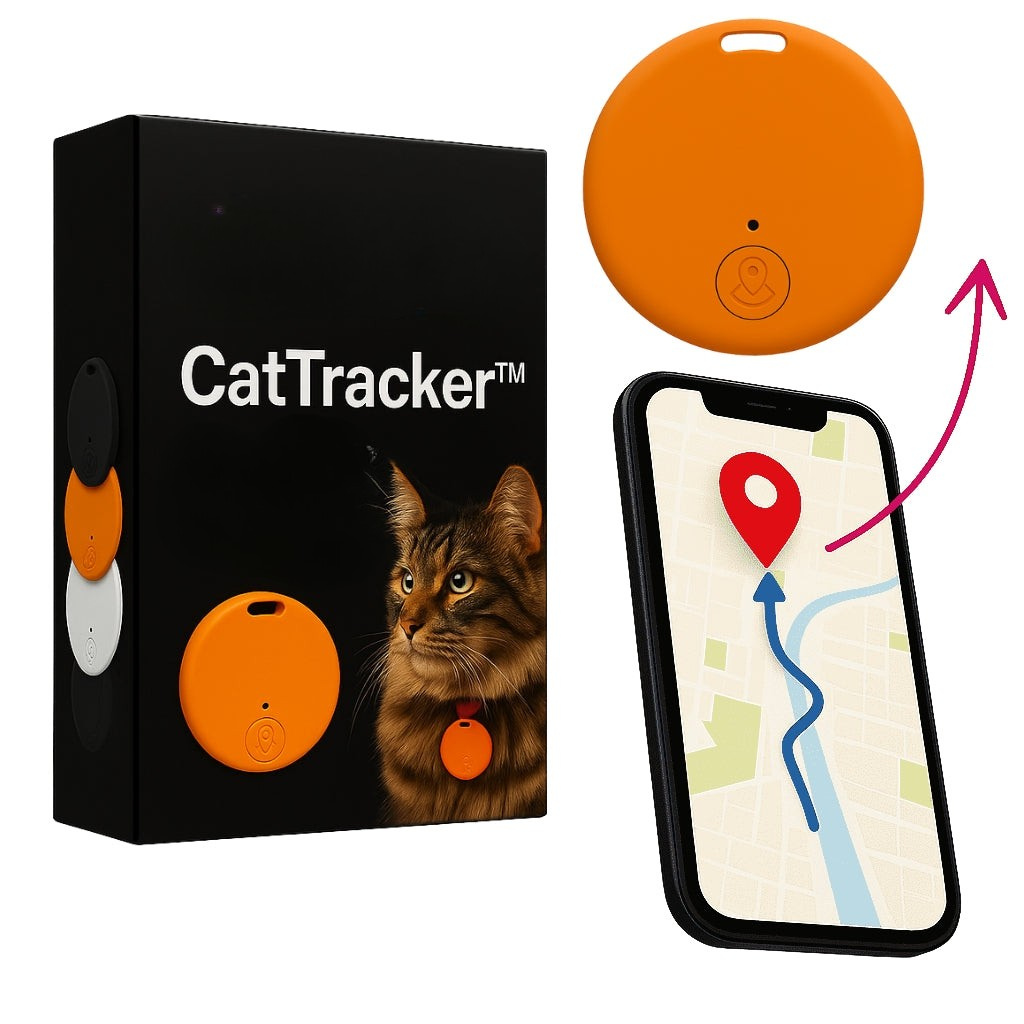 Traceur GPS Chat Sans Abonnement