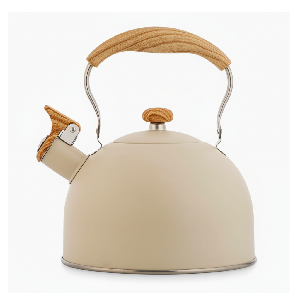 Bouilloire Sifflante Pro