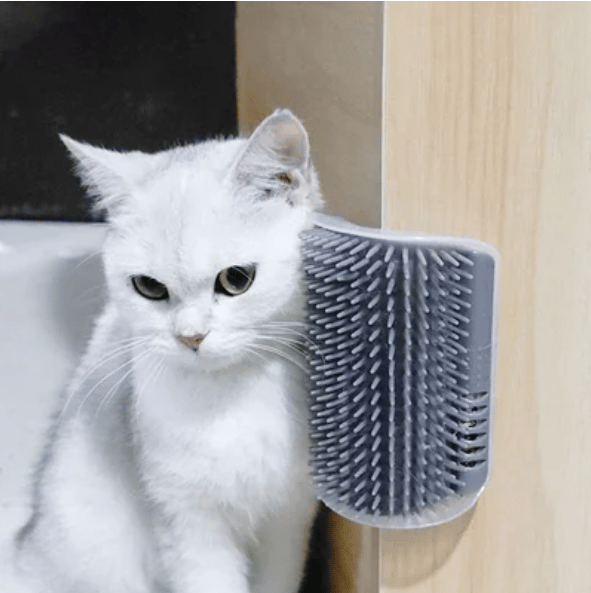 Brosse Murale Chat Auto-Toilettage Angle