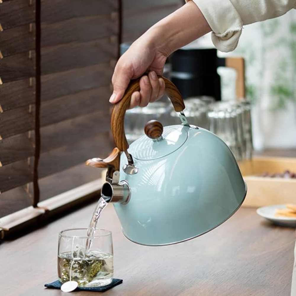 Bouilloire Sifflante Pro