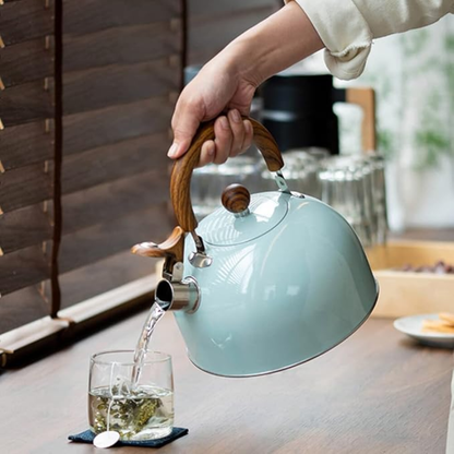 Bouilloire Sifflante Pro