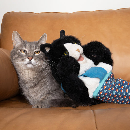 Marionnette Combat Cataire pour Chat