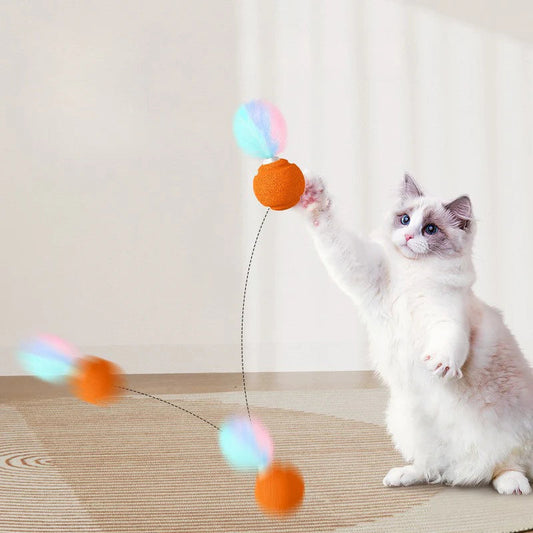 Balle Interactive À Plume Pour Chat