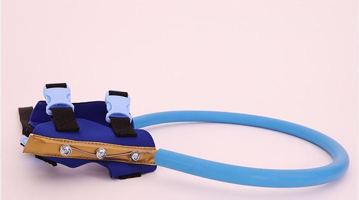 Harnais Pare-Chocs Chien Aveugle