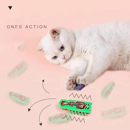Insecte Électrique Interactif pour Chat