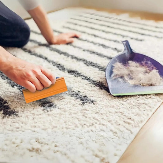 Brosse Anti-Poils Animaux Multi-Surfaces