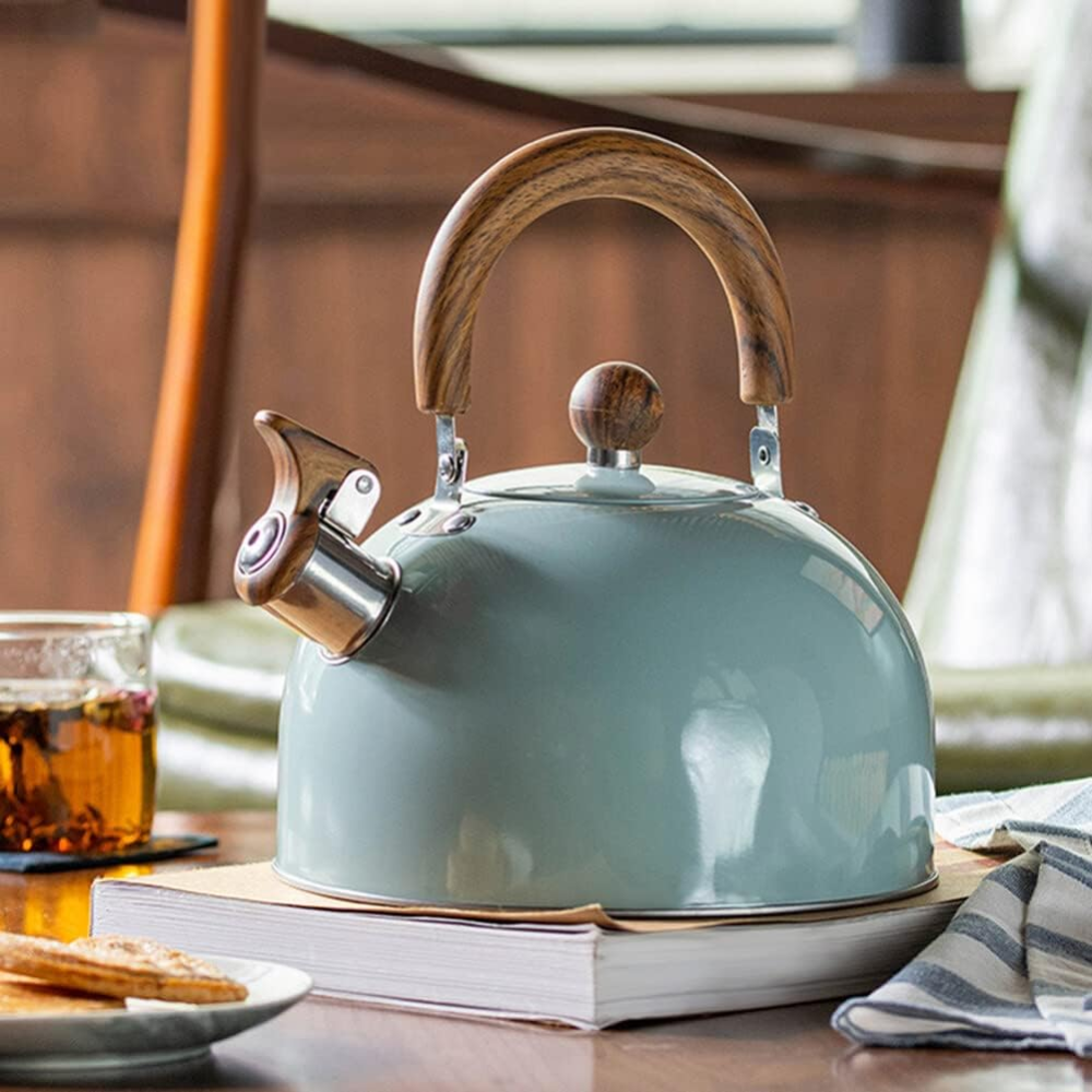 Bouilloire Sifflante Pro