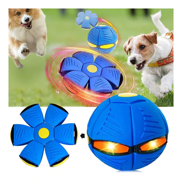 Disque Ballon Transformable Lumineux Rebond