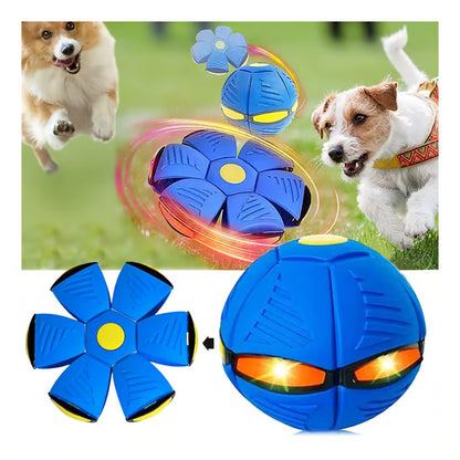 Disque Ballon Transformable Lumineux Rebond