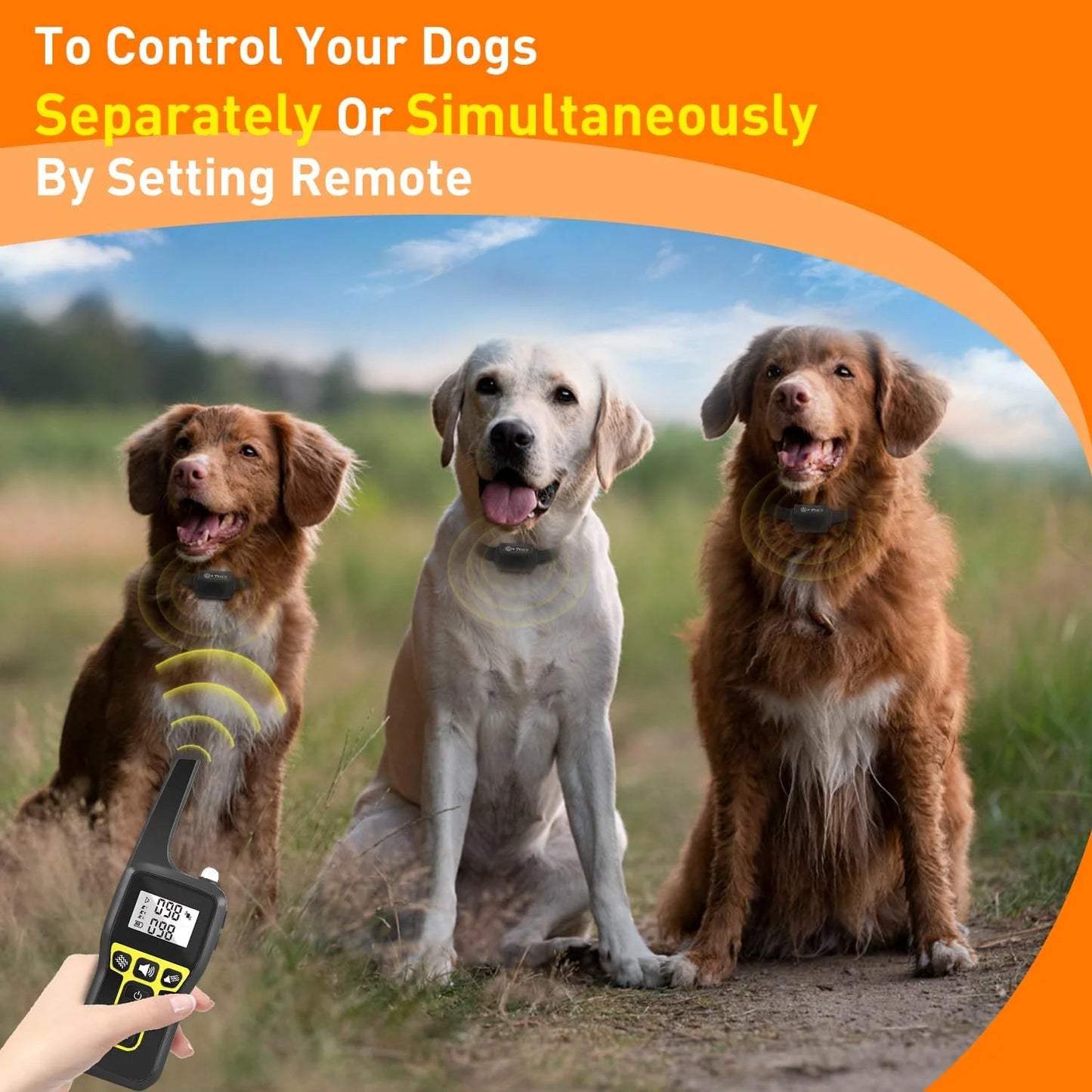 Collier Dressage Chien 1000m Étanche