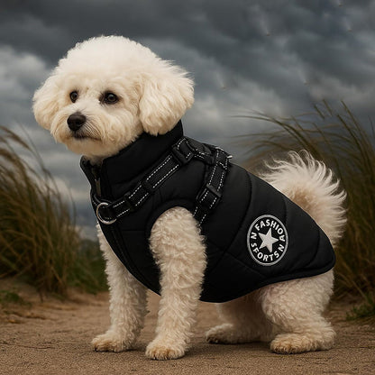 Veste Chien Imperméable Harnais Intégré