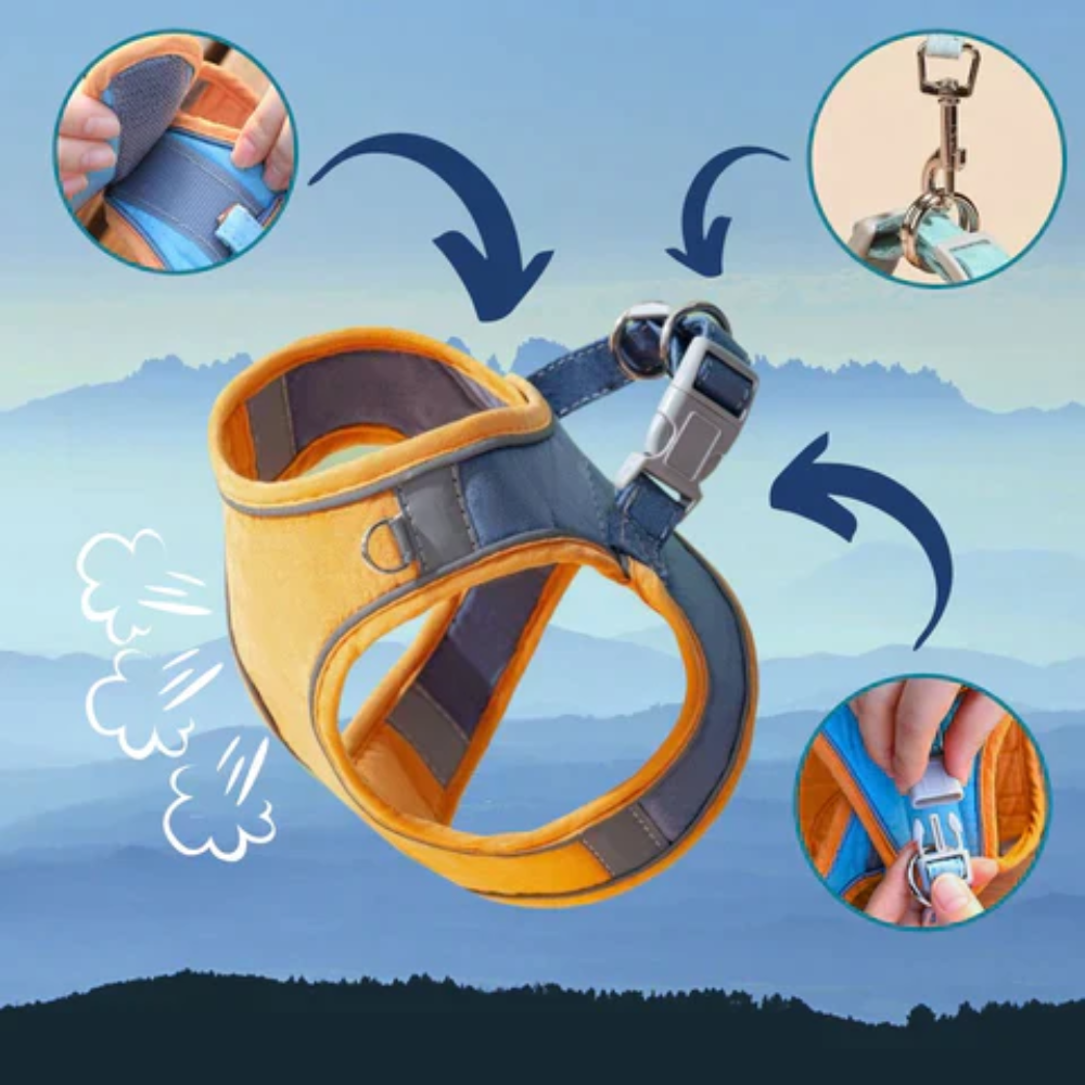 Harnais pour Chat – Réglable – Réfléchissant