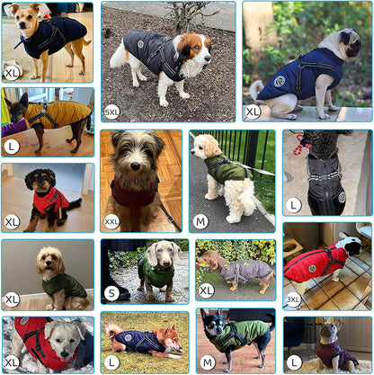 Veste Chien Imperméable Harnais Intégré