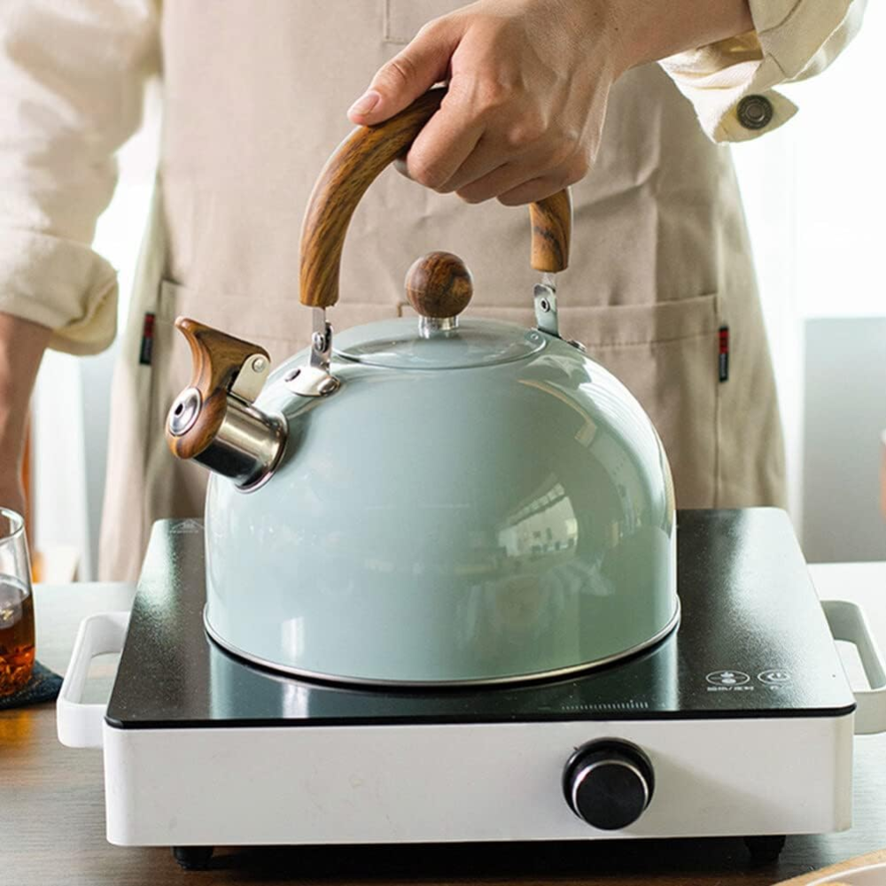 Bouilloire Sifflante Pro