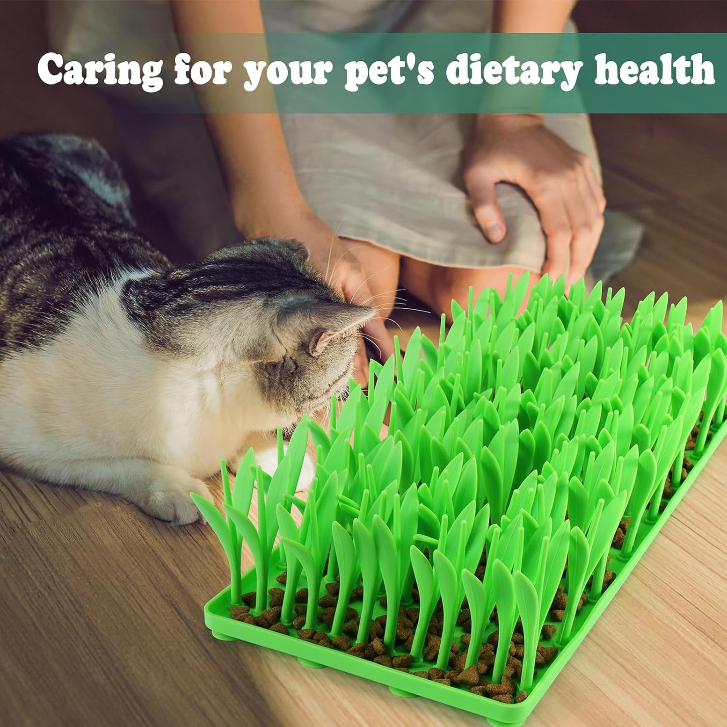 Tapis Léchage Herbe Anti-Glouton Animaux