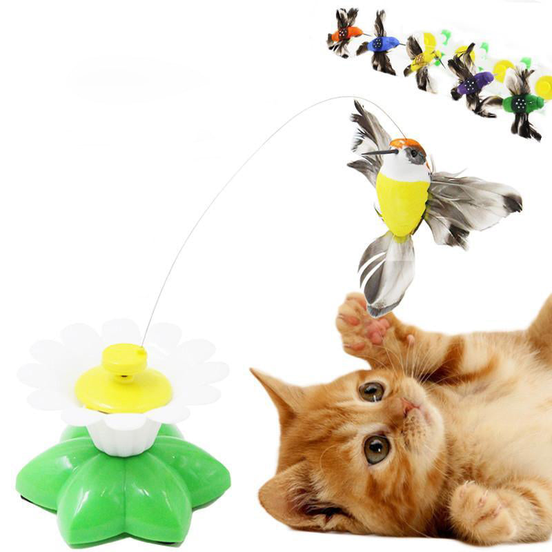 Oiseau Volant Interactif Pour Chat