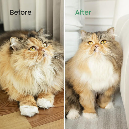 Brosse Anti-Mue Professionnelle Chien Chat