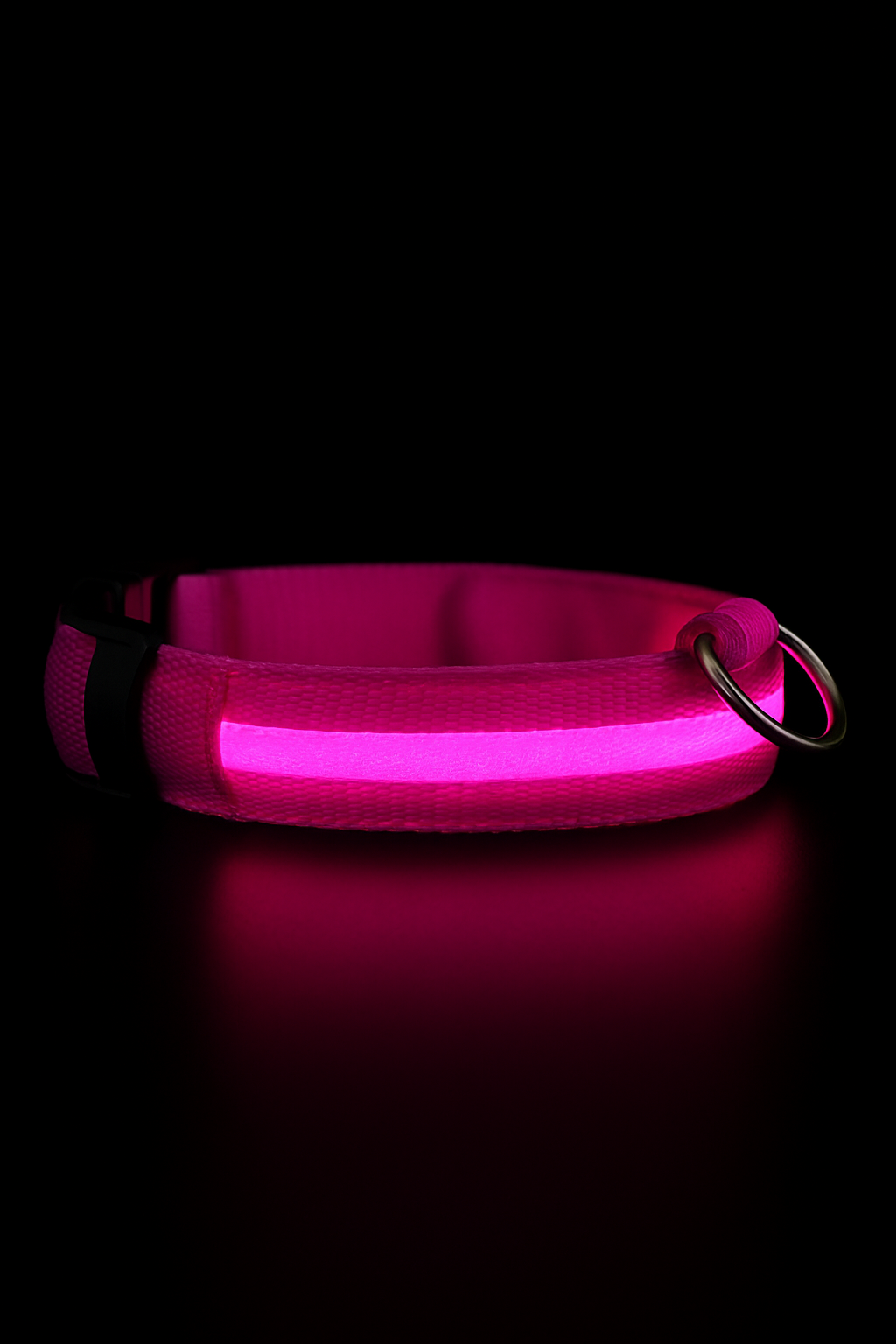 Collier LED Rechargeable Chien Visible